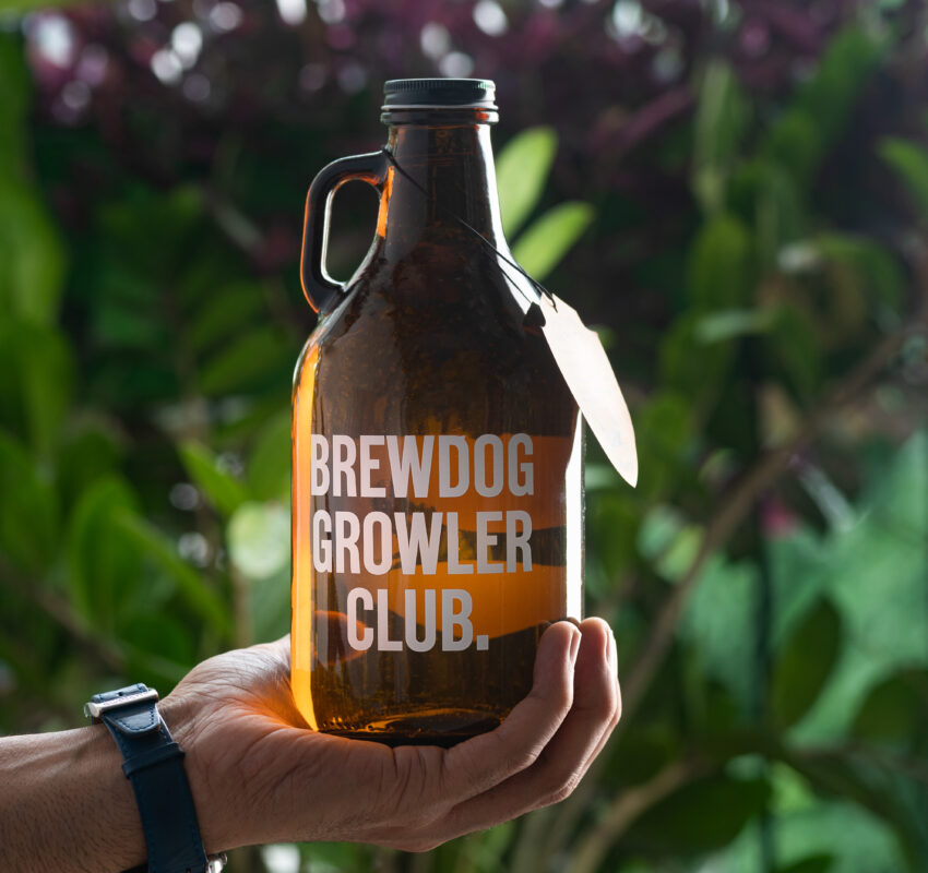 Brewdog: Craft Beer Brewery